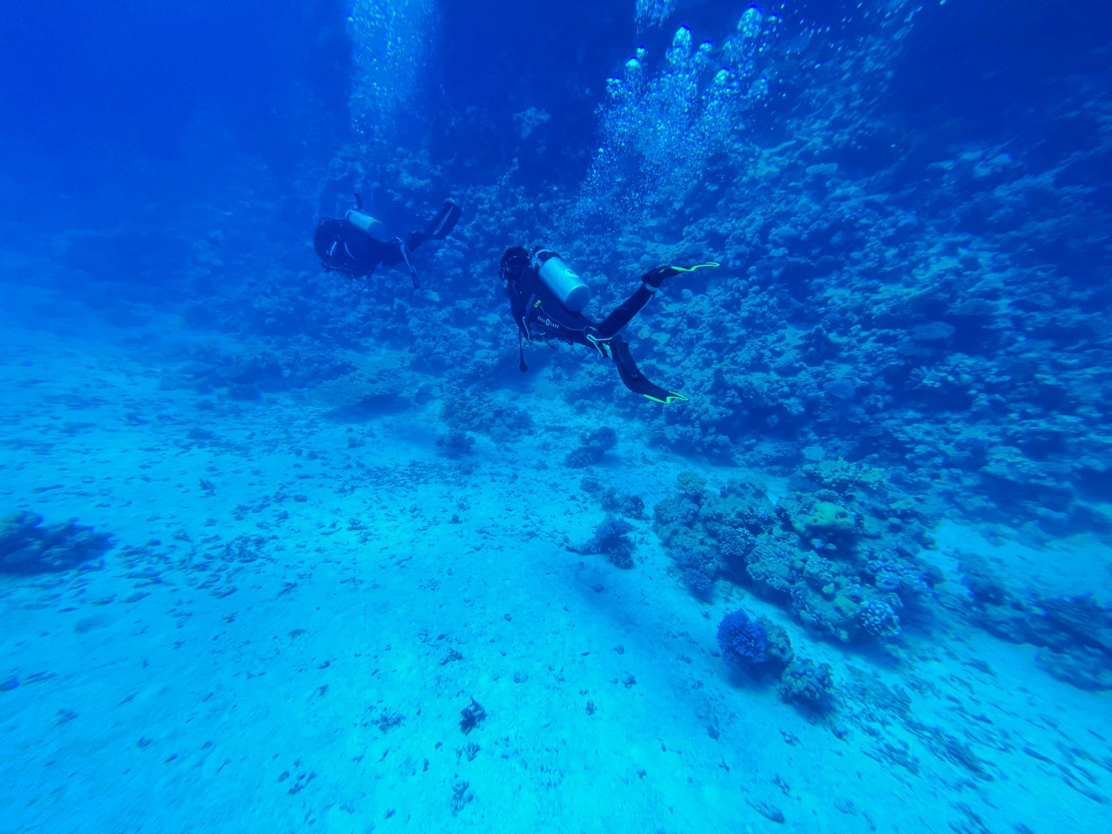 Scuba diving in coral reefs